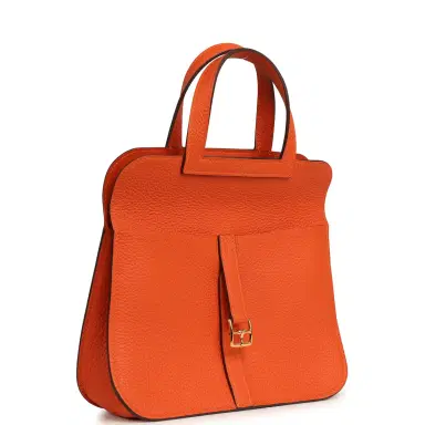 HERMÈS Hermes Halzan 25 Feu Clemence Gold Hardware | Thumbnail 7