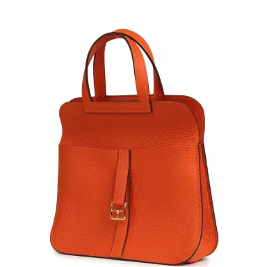 HERMÈS Hermes Halzan 25 Feu Clemence Gold Hardware | Thumbnail 10