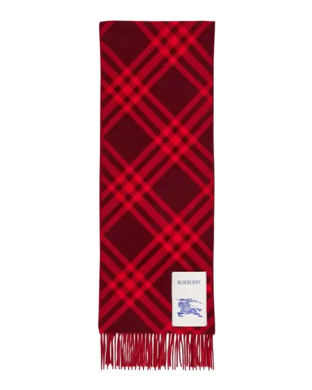 Burberry Men's Check Cashmere Scarf with EKD Label