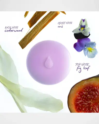 Droplet Fig Leaf Scented Wax Melts, 4 x 1.41 oz. | Thumbnail 3 Droplet Fig Leaf Scented Wax Melts, 4 x 1.41 oz. | Thumbnail 3