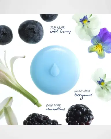 Droplet Wild Berry Scented Wax Melts, 4 x 1.41 oz. | Thumbnail 3 Droplet Wild Berry Scented Wax Melts, 4 x 1.41 oz. | Thumbnail 3