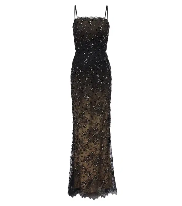 Elie Saab Sequined lace gown
