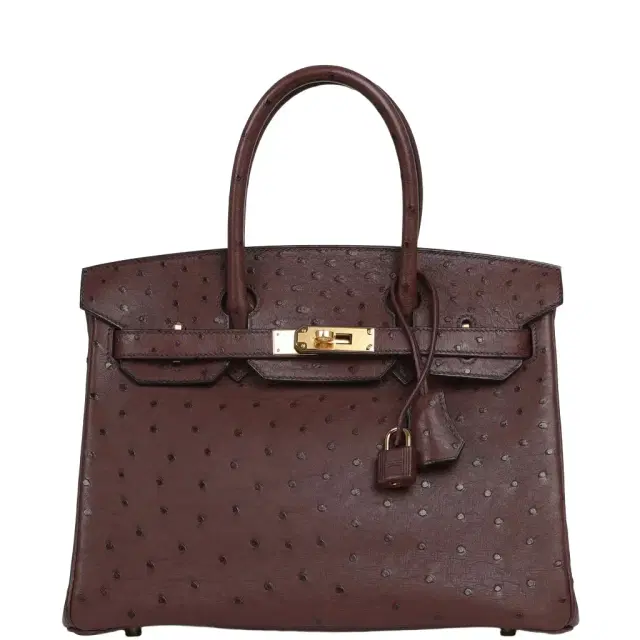 Hermes Birkin 30 Rouge Sellier Ostrich Gold Hardware