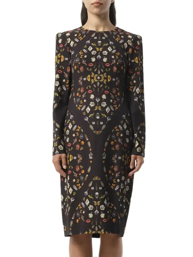 Alexander McQueen Obsession Print Dress