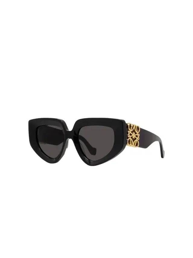 Loewe Lw40154u Acetate Sunglasses