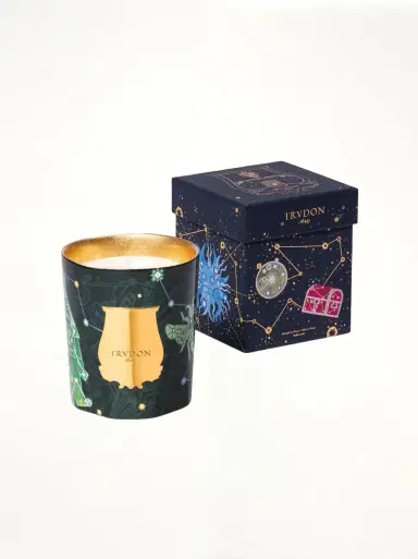 TRUDON Trudon 2025 Holiday Fir Candle 270g | Thumbnail 2