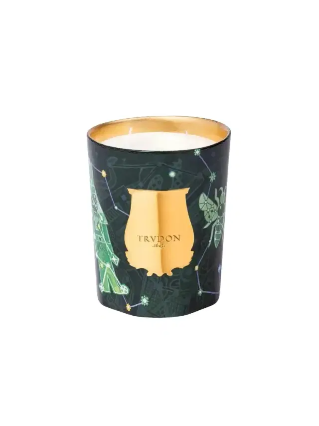 TRUDON Trudon 2025 Holiday Fir Candle 800g
