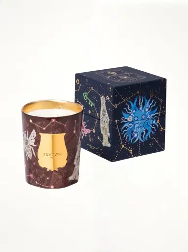 TRUDON Trudon 2025 Holiday Libra Candle 800g | Thumbnail 2