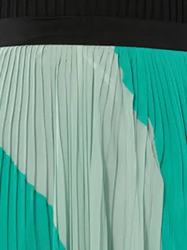 PUCCI Skirt | Thumbnail 3