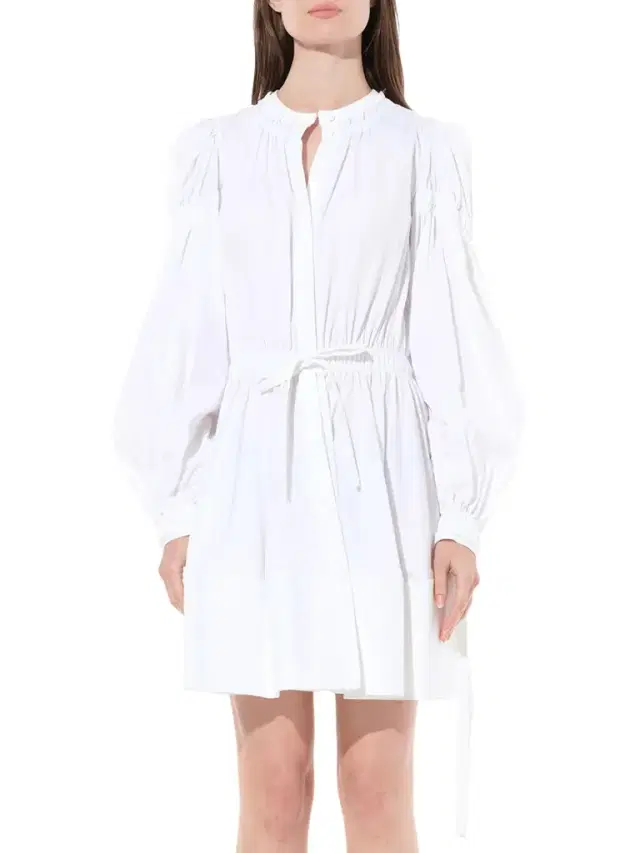 Alexander McQueen Abito Poplin Dress