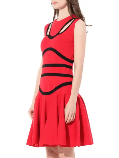 Alexander McQueen Sleeveless Mini Dress | Thumbnail 5 Alexander McQueen Sleeveless Mini Dress | Thumbnail 5