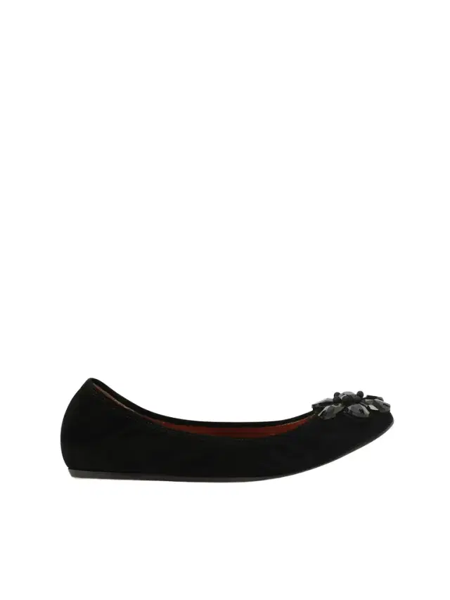 Lanvin Embroided Flat Shoes