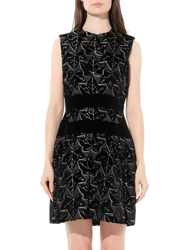 Alexander McQueen Dress in Black/beige