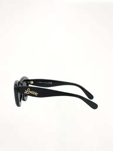 Loewe Loewe Lw40096i 5401a Acetate Sunglasses | Thumbnail 2