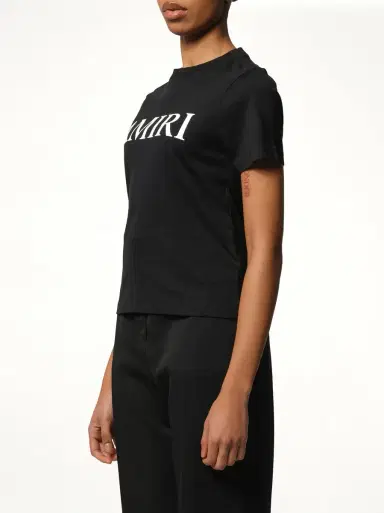 AMIRI Amiri Core Logo T-shirt | Thumbnail 5