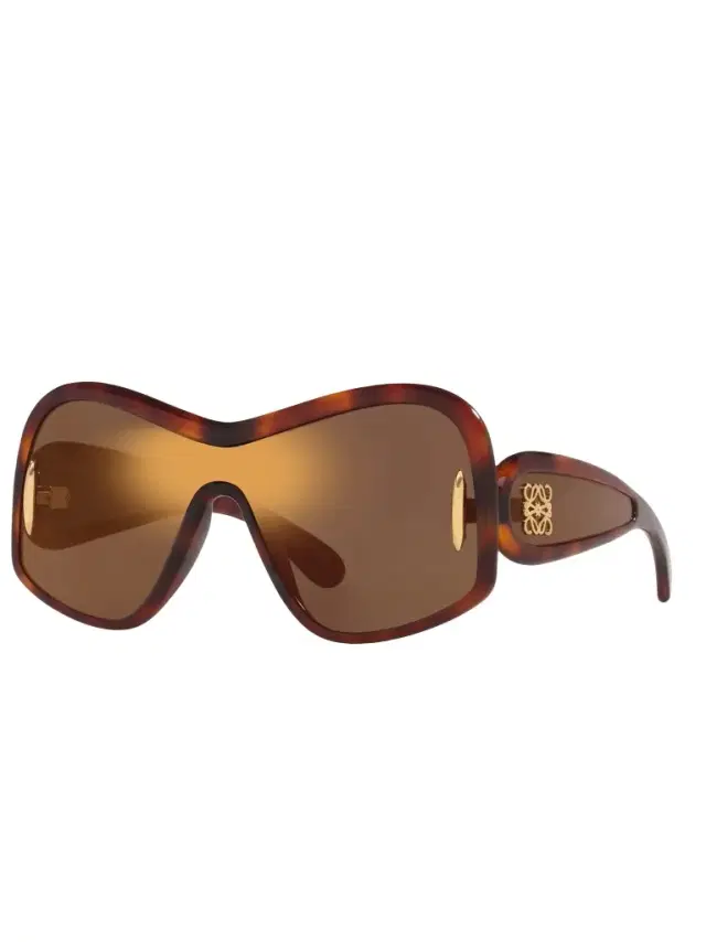 Loewe Loewe Lw40131i 0052g Injected Sunglasses