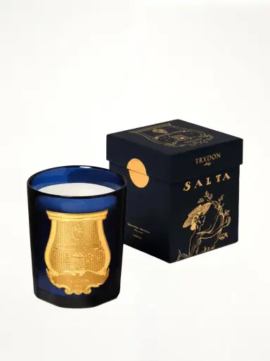 TRUDON Les Belles Matieres Salta Classic Candle 270 g | Thumbnail 2 TRUDON Les Belles Matieres Salta Classic Candle 270 g | Thumbnail 2