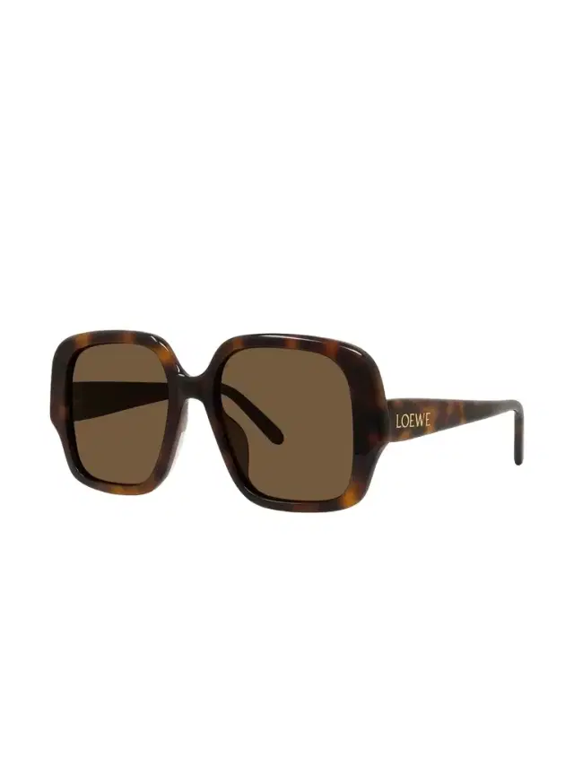 Loewe Lw40134u 5452e Acetate Sunglasses