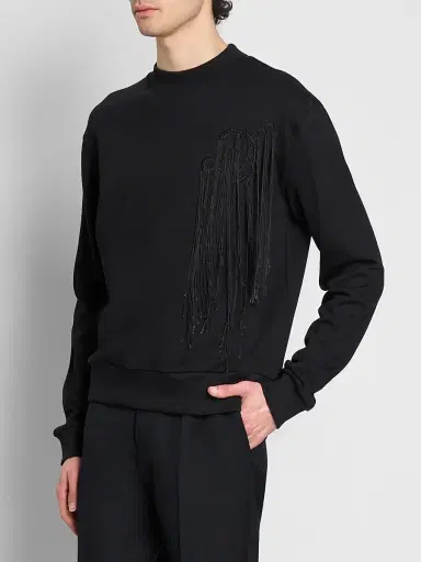 Dries Van Noten Men's Haffy Logo Cotton Sweatshirt | Thumbnail 4