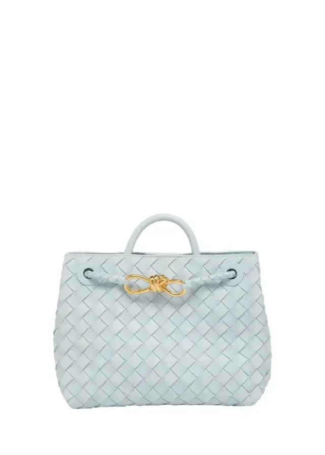 Bottega Veneta Andiamo Small Leather Tote Bag