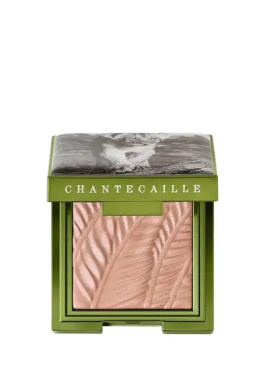 CHANTECAILLE Narika Eye Shade Eyeshadow | Thumbnail 1