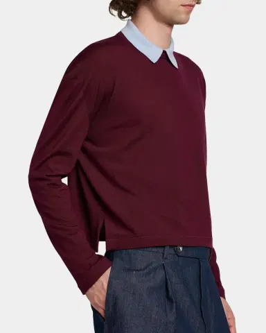 Jil Sander Men's Contrast Collar Wool Sweater | Thumbnail 4