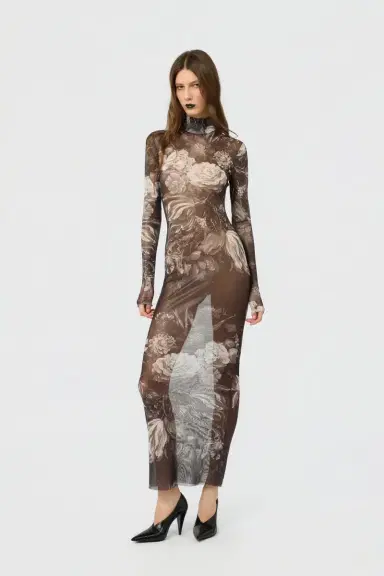 Roberto Cavalli Laminated Tulle Dress With Fiammingo Flowers Print | Thumbnail 2