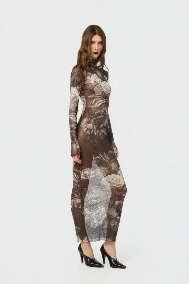 Roberto Cavalli Laminated Tulle Dress With Fiammingo Flowers Print | Thumbnail 6