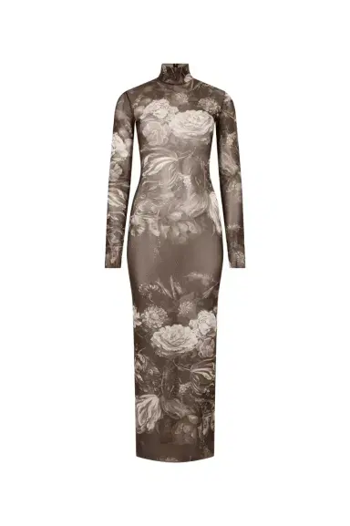Roberto Cavalli Laminated Tulle Dress With Fiammingo Flowers Print | Thumbnail 1