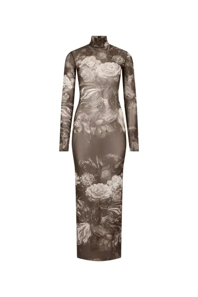 Roberto Cavalli Laminated Tulle Dress With Fiammingo Flowers Print