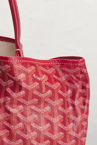 goyard Goyard Saint Louis PM Tote Bag | Thumbnail 8