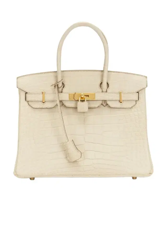 HERMÈS Hermes Matte Alligator Birkin 30 Handbag