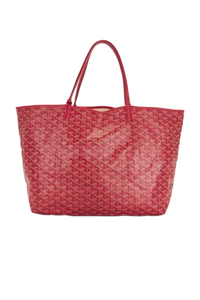goyard Goyard Saint Louis PM Tote Bag