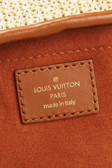 Louis Vuitton Louis Vuitton Raffia Petite Bucket NM Bag | Thumbnail 5