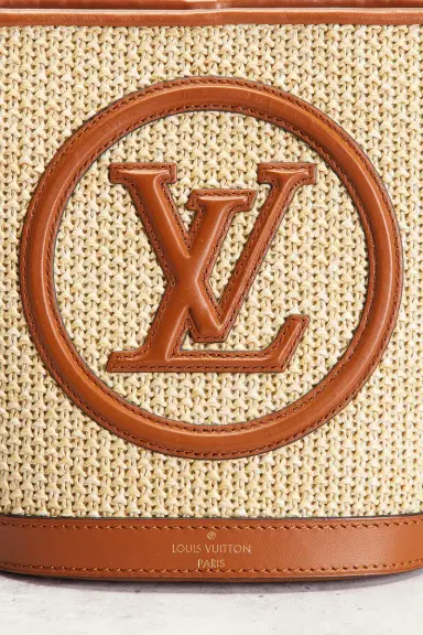 Louis Vuitton Louis Vuitton Raffia Petite Bucket NM Bag | Thumbnail 6