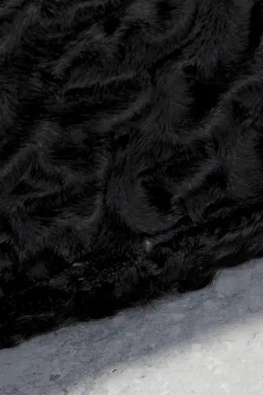 Prada Prada Astrakhan Fur Shoulder Bag | Thumbnail 6 Prada Prada Astrakhan Fur Shoulder Bag | Thumbnail 6