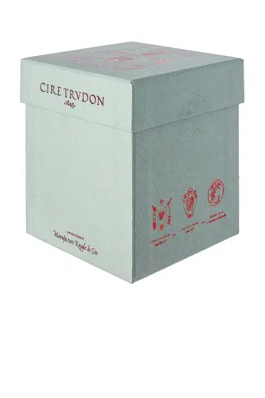 TRUDON Spiritus Sancti Classic Scented Candle | Thumbnail 4 TRUDON Spiritus Sancti Classic Scented Candle | Thumbnail 4