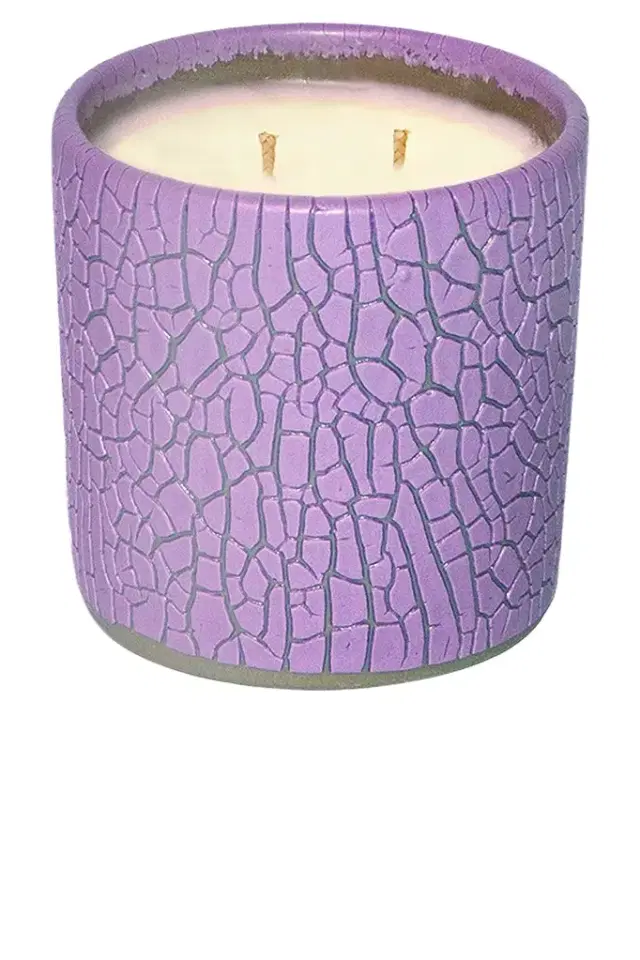 Houseplant Crackle Candle