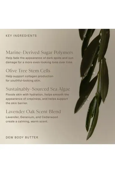 Oak Essentials Dew Body Butter | Thumbnail 6