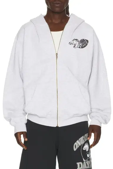 ONE OF THESE DAYS Days Usa Zip Up Hoodie | Thumbnail 1