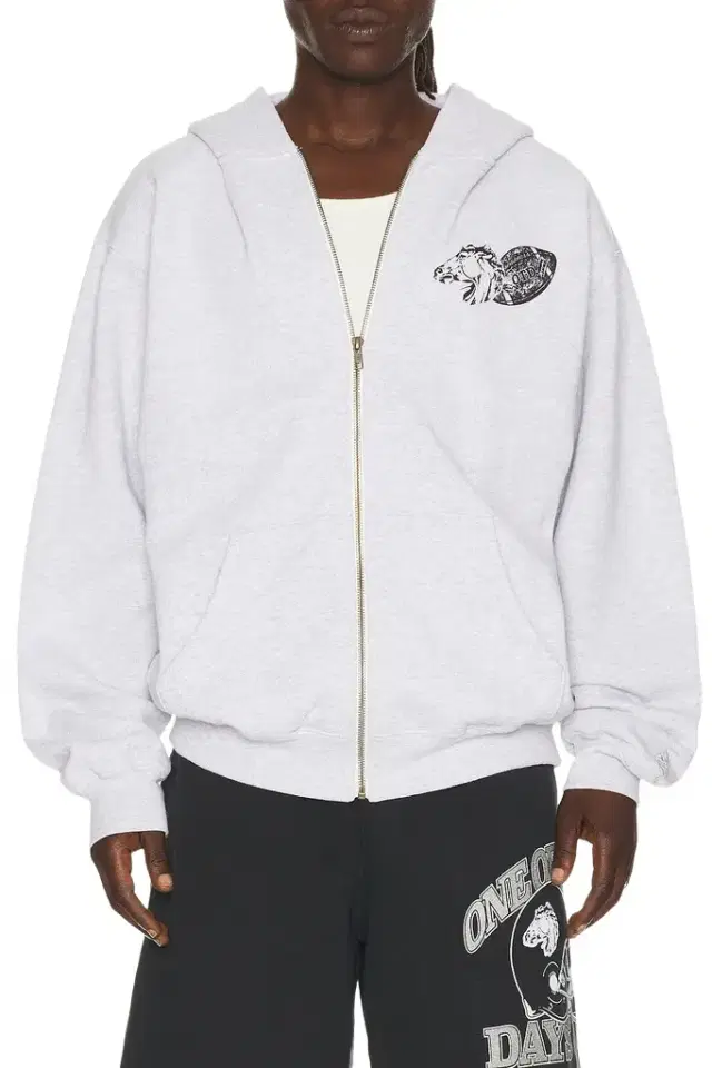 ONE OF THESE DAYS Days Usa Zip Up Hoodie