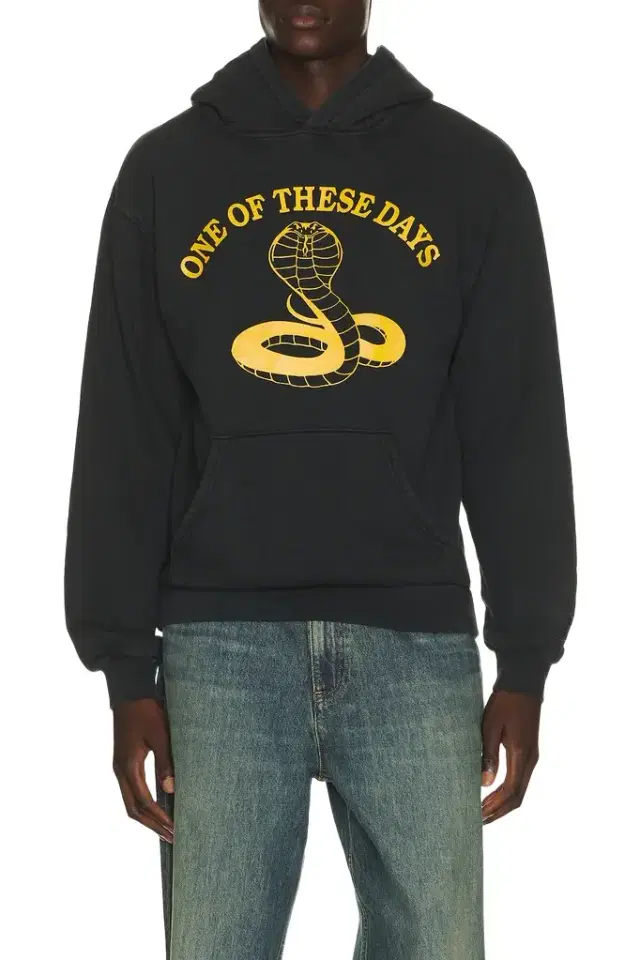 ONE OF THESE DAYS Cobra Pullover Hoodie