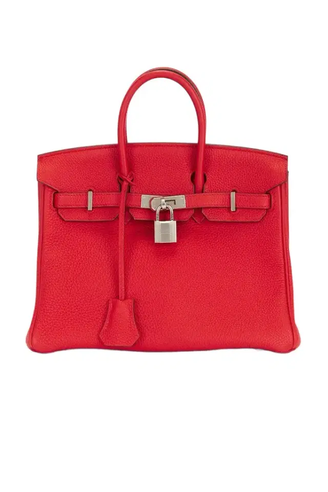 Hermes Togo Birkin 25 Handbag