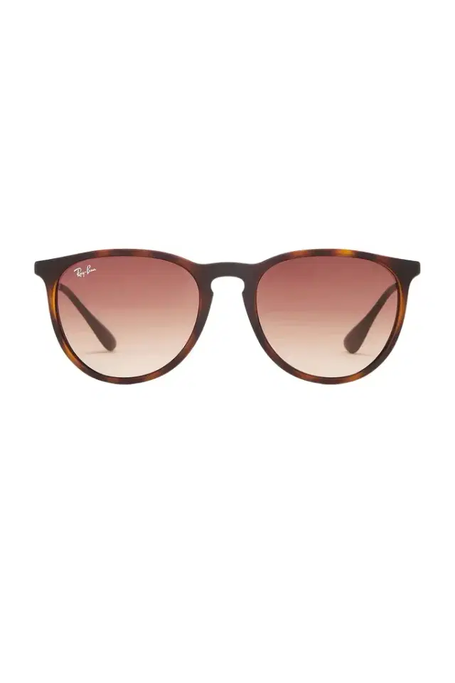 Ray-Ban Erika Classic Sunglasses