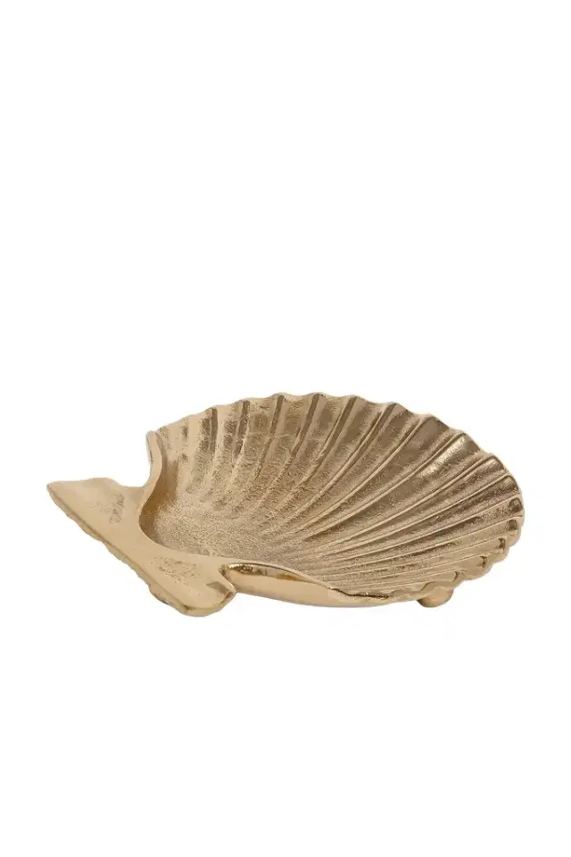 The Favorites Sanibel Shell Tray