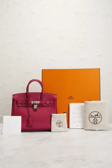 HERMÈS Hermes Togo Birkin 25 Handbag | Thumbnail 7