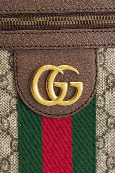 Gucci Gucci Ophidia Shoulder Bag | Thumbnail 6