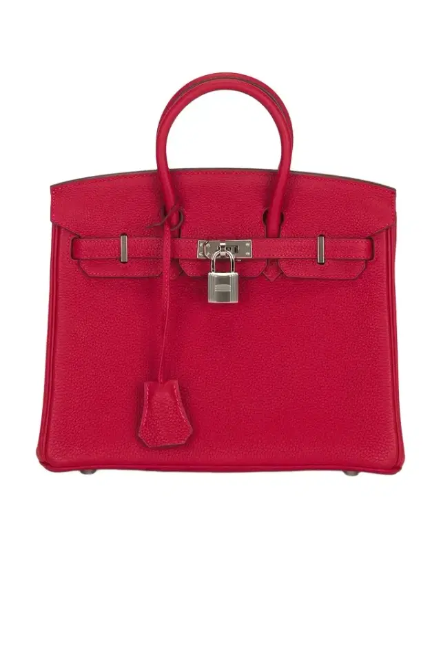 Hermes Togo Birkin 25 Handbag