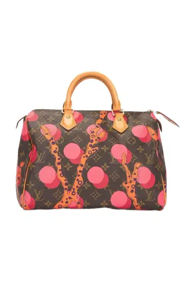 Louis Vuitton Louis Vuitton Limited Edition Grenade Ramages Speedy 30 Handbag | Thumbnail 1 Louis Vuitton Louis Vuitton Limited Edition Grenade Ramages Speedy 30 Handbag | Thumbnail 1