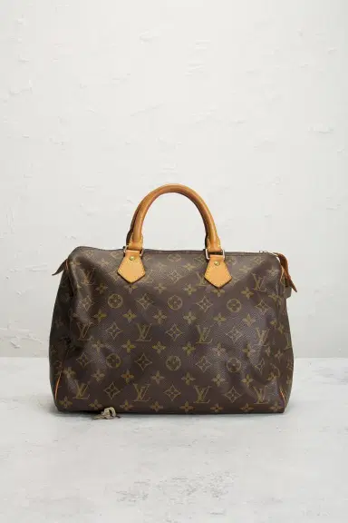Louis Vuitton Louis Vuitton Monogram Speedy 30 Handbag | Thumbnail 10